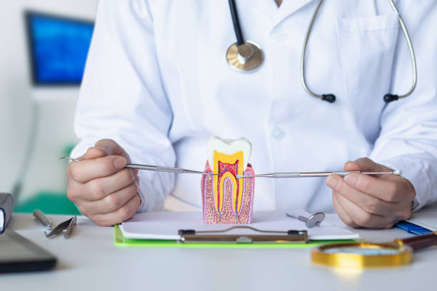 Best After-Hours Emergency Dentist in Chariton, IA